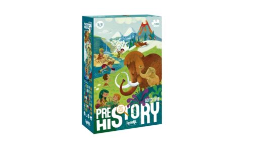 Puzzle Go to the Prehistory