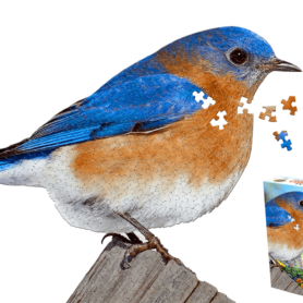 puzzle 300 piezas pájaro