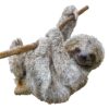 Puzzle perezoso, 100 piezas - Imagen 3