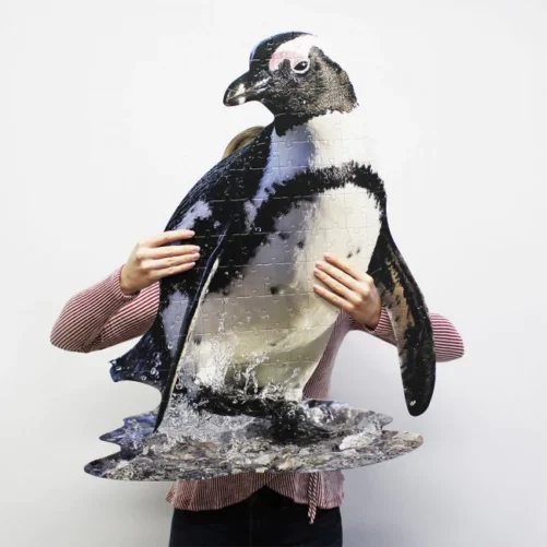 puzzle pinguino 100 piezas