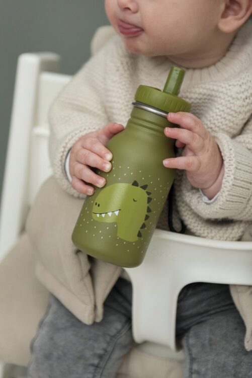 Botella Dino Trixie, 350ml - Imagen 2
